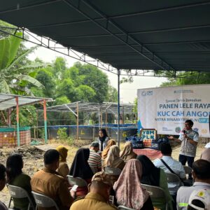 Panen Lele Raya di Gayungan, YBM PLN UIP JBTB Teguhkan Pemberdayaan Ekonomi Berkelanjutan