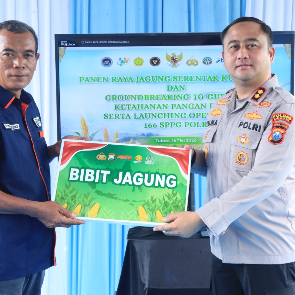 Dukung Ketahanan Pangan Nasional, Polres Gresik Panen Raya 80 Ton Jagung dan Salurkan Bantuan untuk Petani Panceng