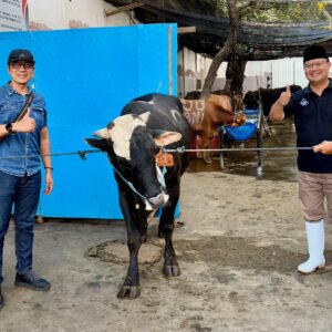 Wujud Kepedulian Sosial, Perumda Air Minum Surya Sembada Kota Surabaya Salurkan 13 Ekor Sapi Qurban pada Idul Adha 1447 H