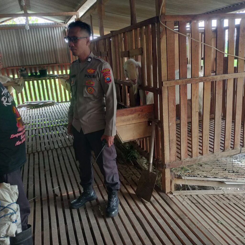 Polsek Manyar Pantau Peternakan Kambing di Desa Peganden, Wujud Dukungan Ketahanan Pangan Nasional