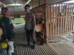 Polsek Manyar Pantau Peternakan Kambing di Desa Peganden, Wujud Dukungan Ketahanan Pangan Nasional