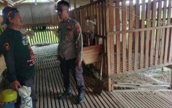 IMG 20260613 WA0010