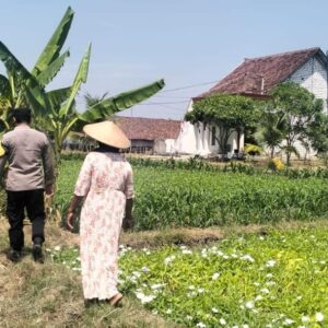 Polsek Benjeng Pantau Tanaman Kangkung, Dukung Ketahanan Pangan Nasional dan Swasembada Pangan