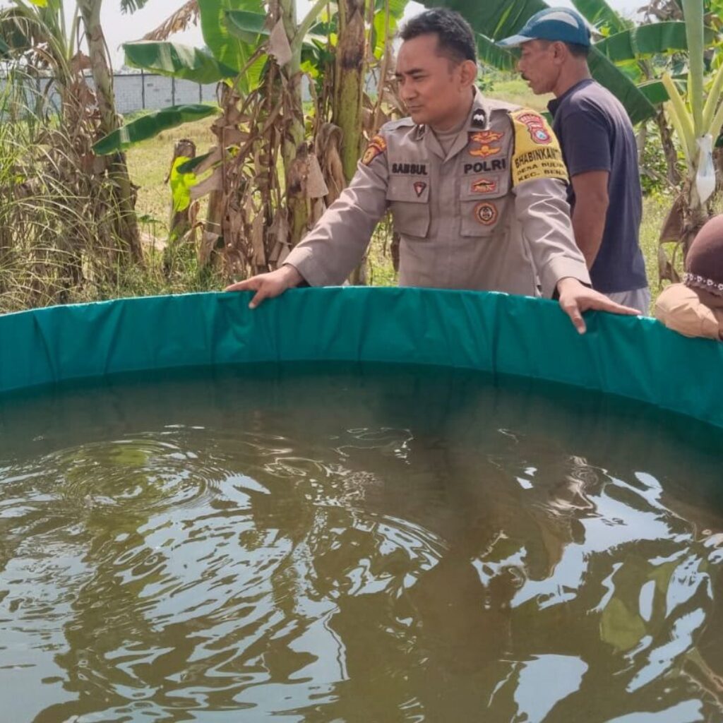 Polsek Benjeng Kawal Ketahanan Pangan, Budidaya Lele di Bulurejo Tunjukkan Hasil Positif
