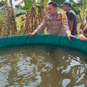 Polsek Benjeng Kawal Ketahanan Pangan, Budidaya Lele di Bulurejo Tunjukkan Hasil Positif