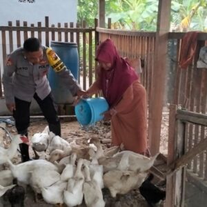 Polsek Benjeng Pantau Peternakan Bebek di Desa Munggugebang untuk Perkuat Ketahanan Pangan Nasional