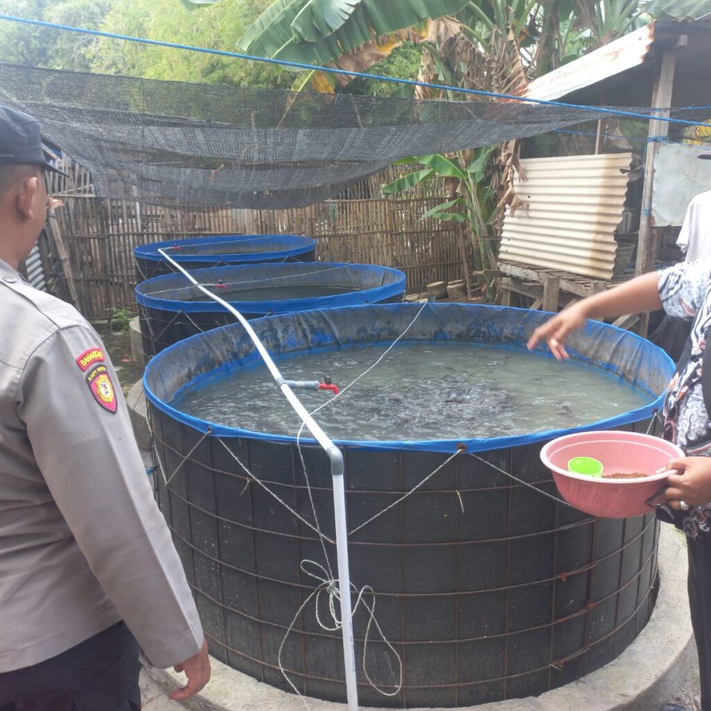 Polsek Cerme Monitoring Budidaya Lele di Desa Dungus, Dukung Program Swasembada Pangan Nasional