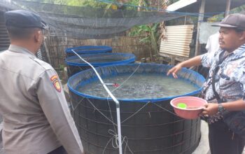 IMG 20260624 WA0002