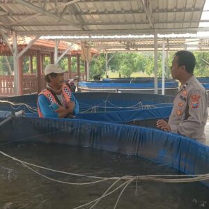 Polsek Sidayu Tinjau Budidaya Lele di Desa Lasem, Dukung Program Asta Cita dan Swasembada Pangan Nasional