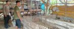 IMG 20260702 WA0001