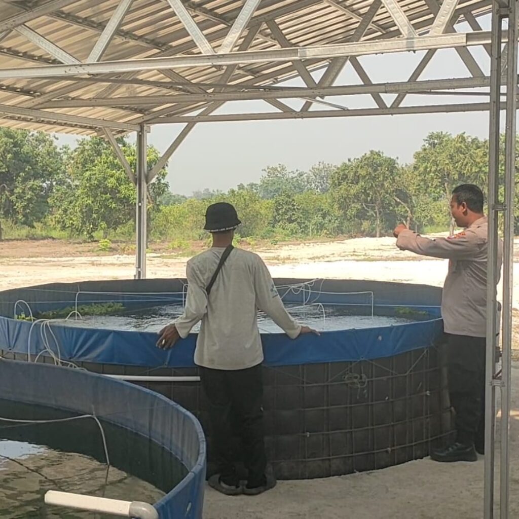 Implementasikan Program Presiden, Polsek Sidayu Cek Budidaya Lele untuk Dukung Ketahanan Pangan Nasional