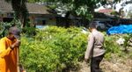 Polsek Dukun Cek Tanaman Cabai di Desa Mentaras, Dukung Program Swasembada Pangan Nasional