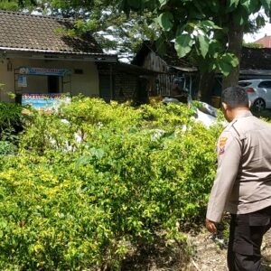 Polsek Dukun Cek Tanaman Cabai di Desa Mentaras, Dukung Program Swasembada Pangan Nasional