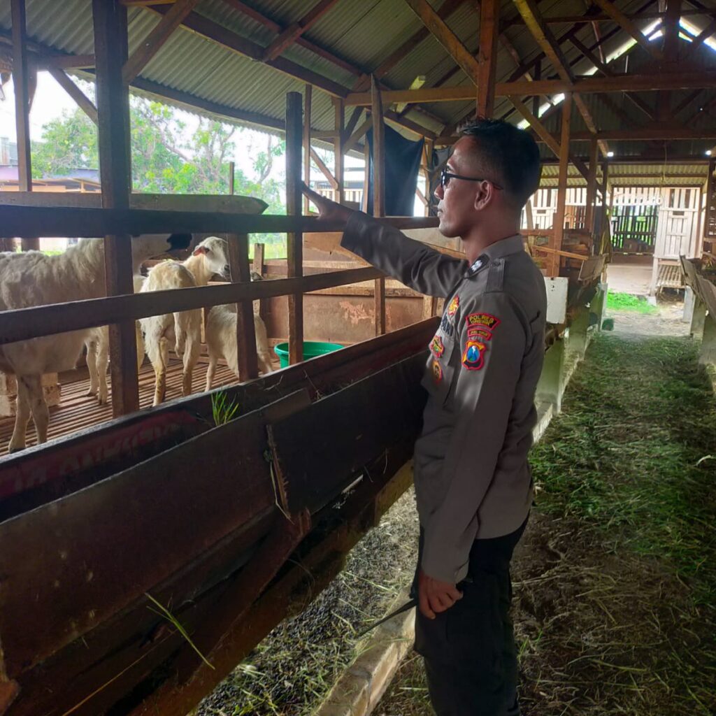 Polsek Manyar Cek Peternakan Kambing di Desa Peganden, Wujud Dukungan Ketahanan Pangan Nasional